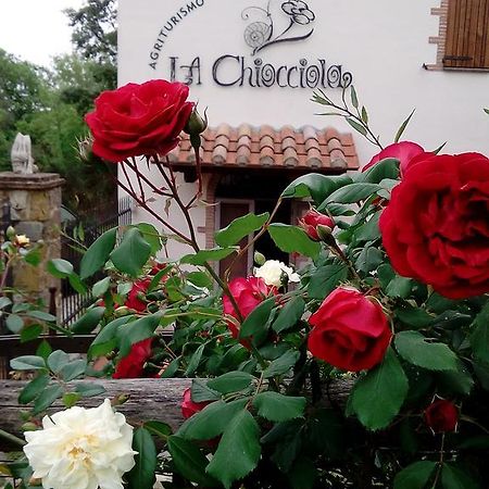 Agriturismo La Chiocciola Poggio Murella Екстериор снимка