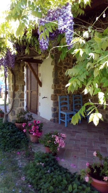 Agriturismo La Chiocciola Poggio Murella Екстериор снимка