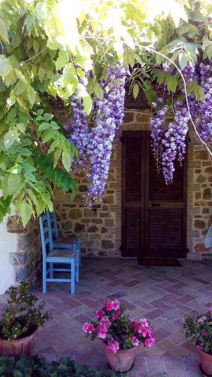 Agriturismo La Chiocciola Poggio Murella Екстериор снимка
